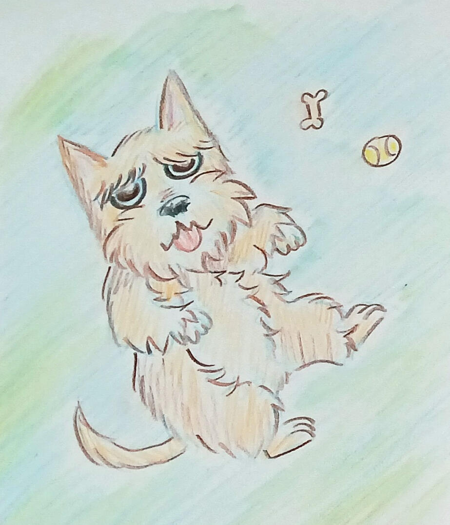 PetSketch1